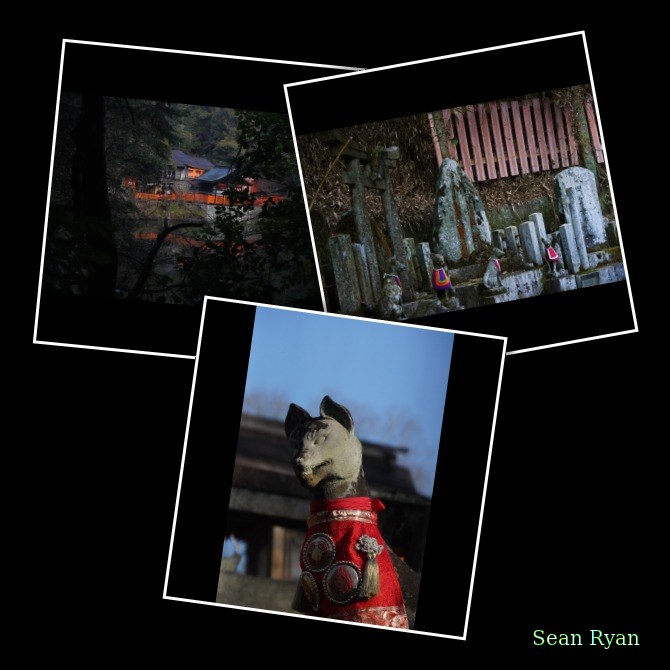 Shrines And Foxes - Every Day Photos